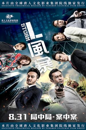 L Storm poster
