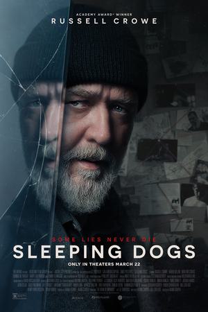 Sleeping Dogs poster